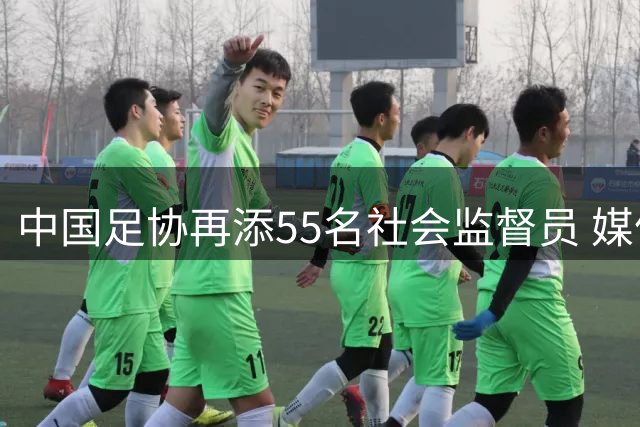 中国足协再添55名社会监督员 媒体与球迷代表占比超六成