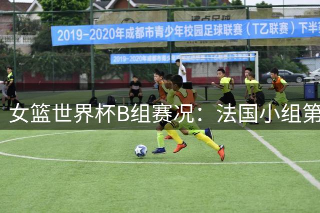 女篮世界杯B组赛况：法国小组第一出线，匈牙利韩国晋级次轮