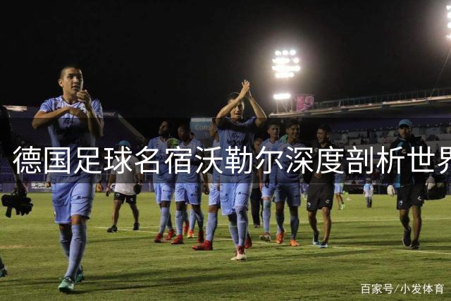 德国足球名宿沃勒尔深度剖析世界杯失利：防守短板成致命伤