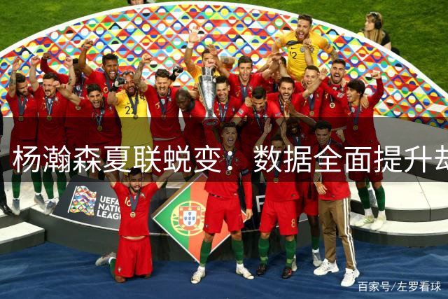 杨瀚森夏联蜕变：数据全面提升却暗藏NBA生存隐患